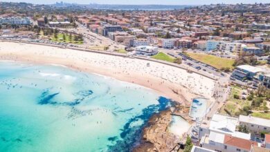 Photo of World News in Brief: Türk condemns ‘abhorrent’ attack in Sydney, UNHCR chief calls for solidarity with refugees, Ukraine latest