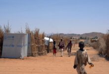 Photo of Mass displacement, trafficking fears deepen crisis in Sudan’s El Fasher