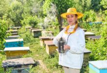 Photo of Медовые мечты в Узбекистане