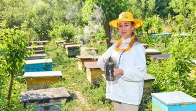 Photo of Медовые мечты в Узбекистане