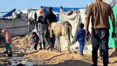 Photo of ООН предупреждает о росте гуманитарных рисков и хрупкости перемирия в Газе