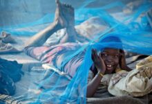 Photo of Health advances marked 2025 as wars and funding cuts strained systems