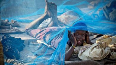 Photo of Health advances marked 2025 as wars and funding cuts strained systems