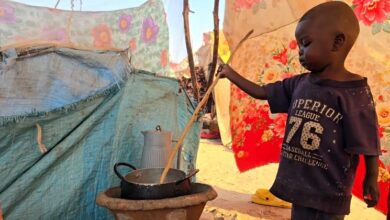Photo of Медицинское обследование выявило беспрецедентный уровень недоедания среди детей в Северном Дарфуре