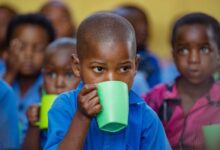 Photo of From lunch tray to lifelong health: WHO sets global standards for school meals