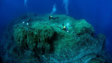Photo of В ООН приняли историческое соглашение о защите Мирового океана