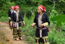 Photo of Can traditional medicine strengthen modern healthcare? An expert weighs in