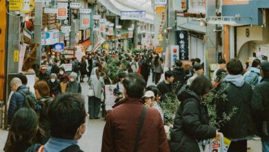 Photo of Global economy shows signs of steady but subdued growth