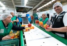 Photo of Глобальная экономика демонстрирует устойчивость, но торговые и бюджетные проблемы омрачают перспективы