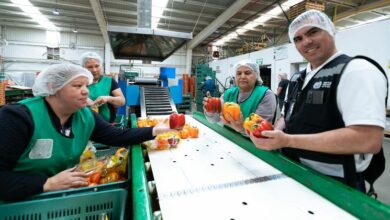 Photo of Глобальная экономика демонстрирует устойчивость, но торговые и бюджетные проблемы омрачают перспективы