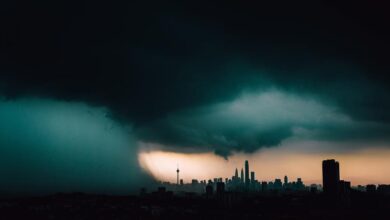 Photo of For every $1 spent protecting nature, $30 goes to destroying it