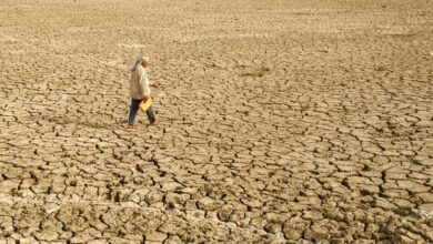 Photo of What the US withdrawal from UN bodies could mean for climate, trade and development