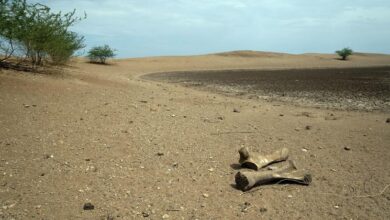 Photo of World enters era of ‘global water bankruptcy’