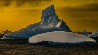 Photo of 11-year streak of record global warming continues, UN weather agency warns