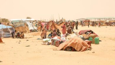 Photo of Sudan: UN warns of unprecedented child hunger in Darfur as fighting fuels refugee exodus