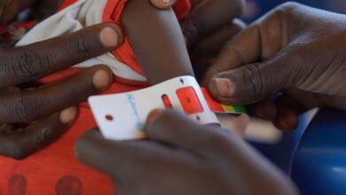 Photo of WFP warns Sudan food aid could run out in March