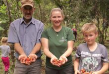 Photo of Мате: напиток, продлевающий жизнь леса