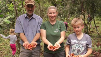 Photo of Мате: напиток, продлевающий жизнь леса