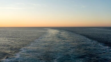 Photo of Кораблекрушения в Средиземноморье: сотни мигрантов числятся пропавшими без вести или погибли