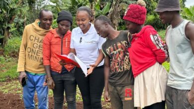 Photo of From family farm to climate tech: How one Kenyan woman is helping farmers outsmart drought