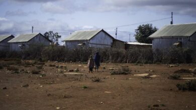 Photo of Somalia: Number of people going hungry nearly doubles in a year