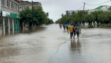 Photo of Январь стал месяцем экстремальных погодных явлений – от рекордных снегопадов до волн жары