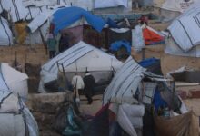 Photo of Представитель ООН – о критической ситуации в Газе: «Каждая минута имеет значение»