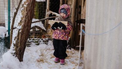 Photo of As conditions worsen in Ukraine, refugees struggle to return