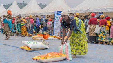 Photo of World News in Brief: UN Support Office in Haiti, Goodwill Ambassador Theo James in Syria, urgent appeal for millions in DR Congo