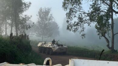 Photo of M23 rebels: UN sees progress in talks but warns violence persists