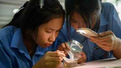 Photo of Women and girls in science: Dismantling barriers, closing gender gaps