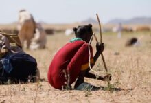 Photo of Sudan: Atrocities ‘repeated town by town’, ICC prosecutor tells UN Security Council