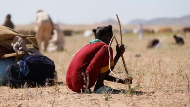 Photo of Sudan: Atrocities ‘repeated town by town’, ICC prosecutor tells UN Security Council
