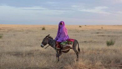 Photo of Over a billion fear losing land and homes within five years