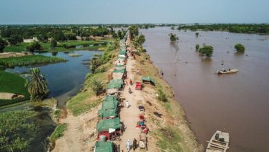 Photo of Глава Конвенции ООН: климатическое сотрудничество – источник стабильности в нестабильном мире