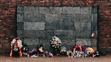 Photo of ‘We must stand up for our shared humanity – each and every day’: UN human rights chief