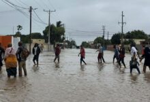 Photo of Mozambique floods heighten disease, malnutrition risks – UN agencies