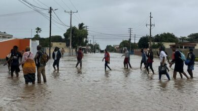 Photo of Mozambique floods heighten disease, malnutrition risks – UN agencies