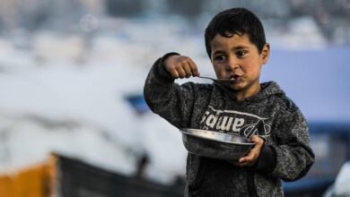 Photo of Gaza: Lifesaving aid operations continue despite restrictions