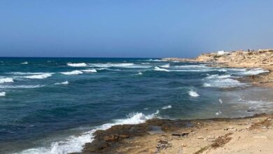 Photo of World News in Brief: Deadly shipwrecks in the Mediterranean, Duterte trial update, final hostage remains recovered in Gaza, FAO boosts farming in Haiti