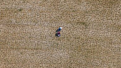 Photo of Decades of gains overshadowed as Asia-Pacific falls behind on sustainable development targets