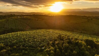 Photo of Городские районы будущего: мегаполисы Бразилии расширяются в гармонии с природой