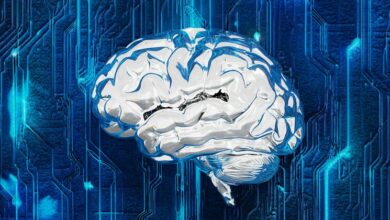 Photo of Can workers compete with machines and stay relevant in the AI era?