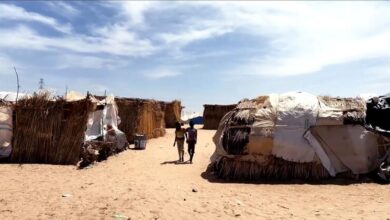 Photo of Главные новости дня | четверг: Палестина, Украина, Судан, Совбез ООН