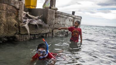 Photo of Генсек ООН призывает ускорить процесс деколонизации