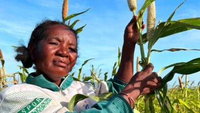 Photo of Climate shocks accelerating as El Niño threat looms over already vulnerable regions