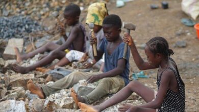 Photo of World News in Brief: Call for action against child labour, ICC Prosecutor suspended, WFP raises awareness in Egypt