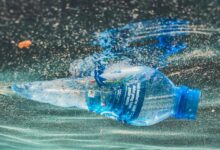 Photo of Five things you need to know about ocean plastics