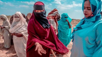 Photo of ‘Stop this madness’: Rights chief warns of impending atrocities as militia closes in on El Obeid, Sudan