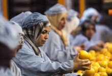 Photo of ВОЗ: загрязненные продукты питания ежегодно становятся причиной 1,5 миллиона смертей